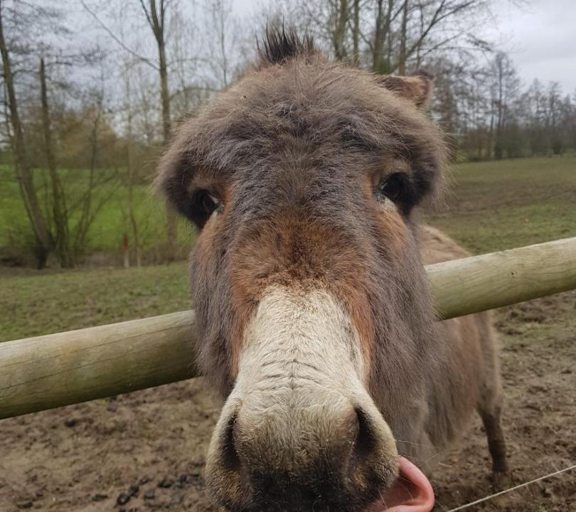 Photo of Others in Geneslay