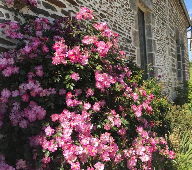 Photo of Others in Geneslay