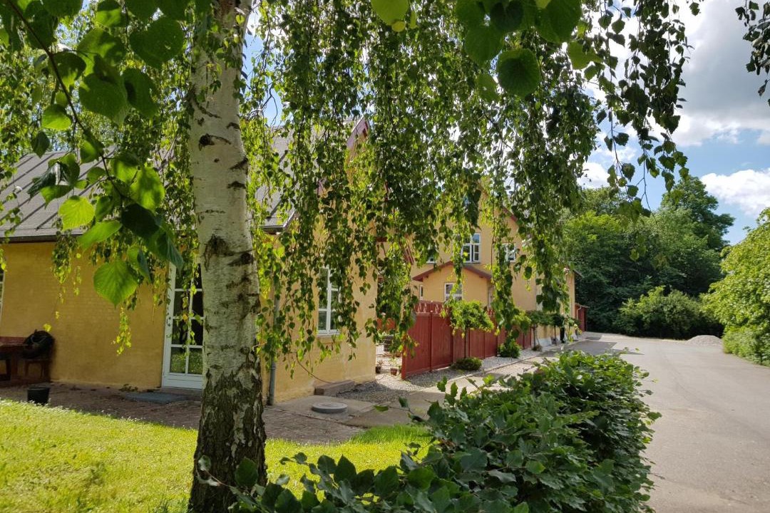 Photo of Others in Randers