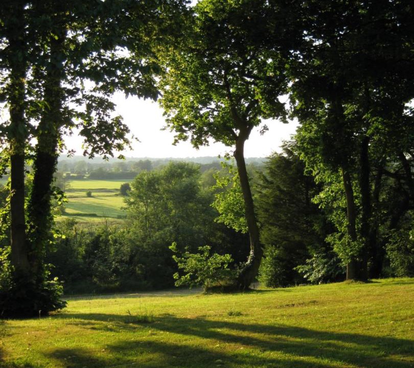 Photo of Others in Bungay