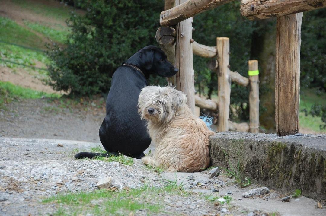 Photo of Others in Cambounes