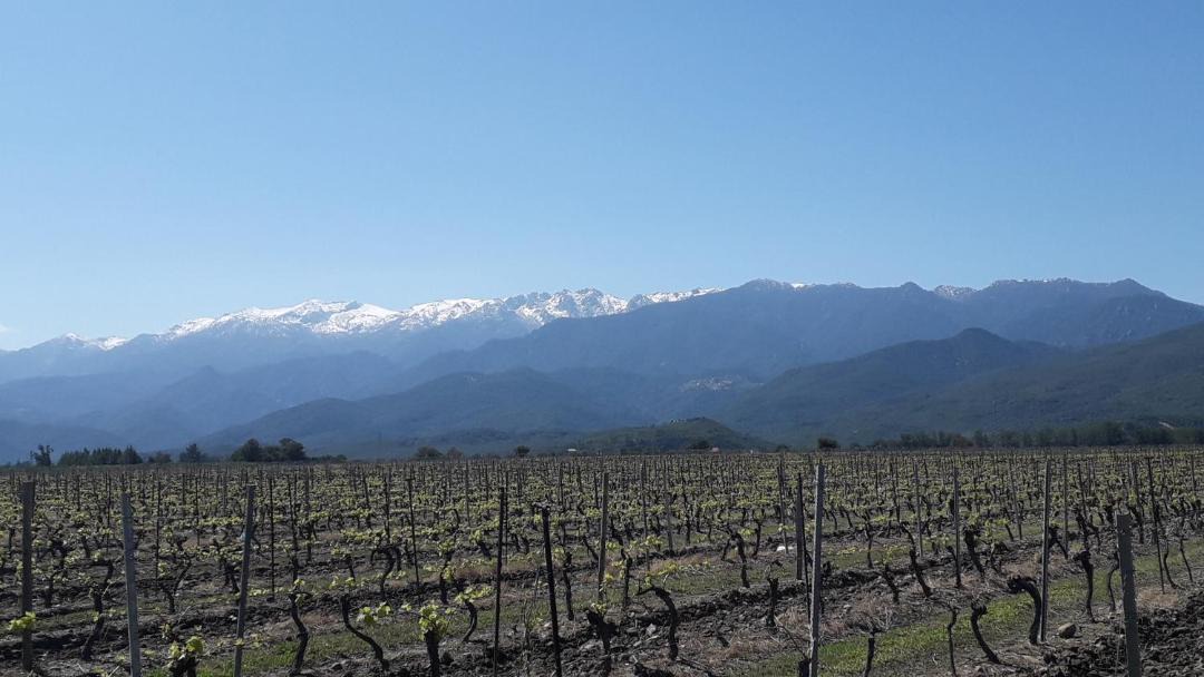 Photo of Others in Ghisonaccia