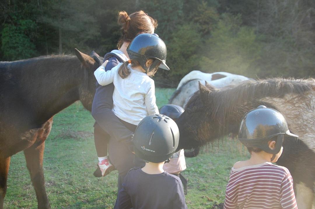 Photo of Others in Cambounes