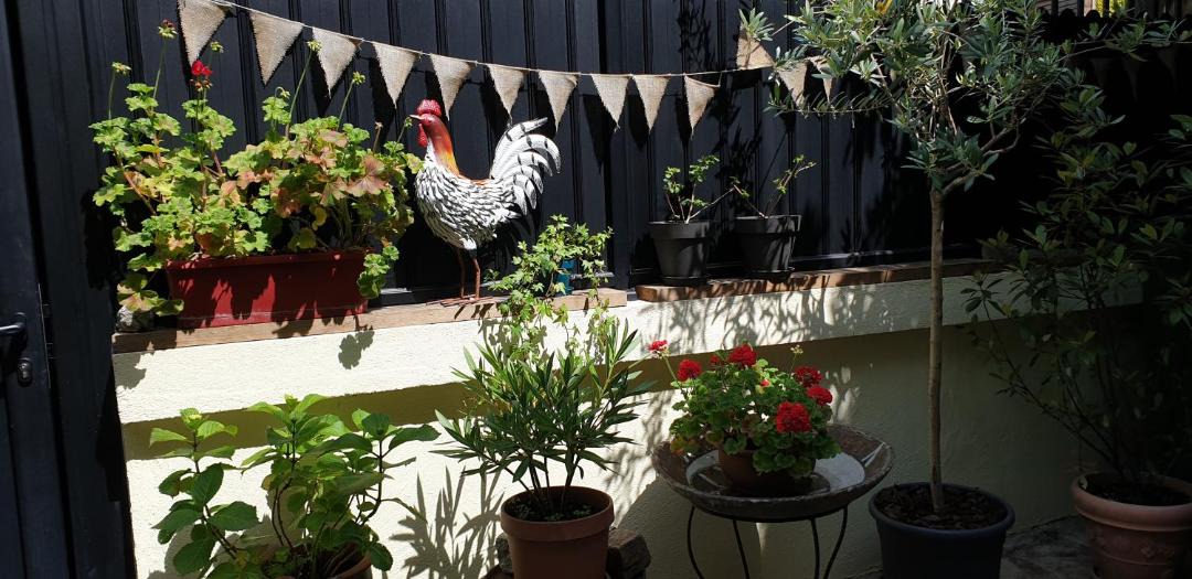 Photo of Patio Balcony in Malakoff