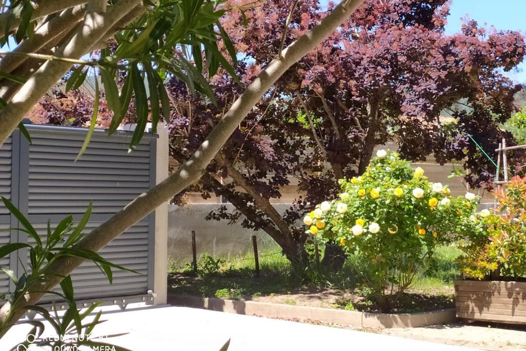 Photo of Others in Ghisonaccia