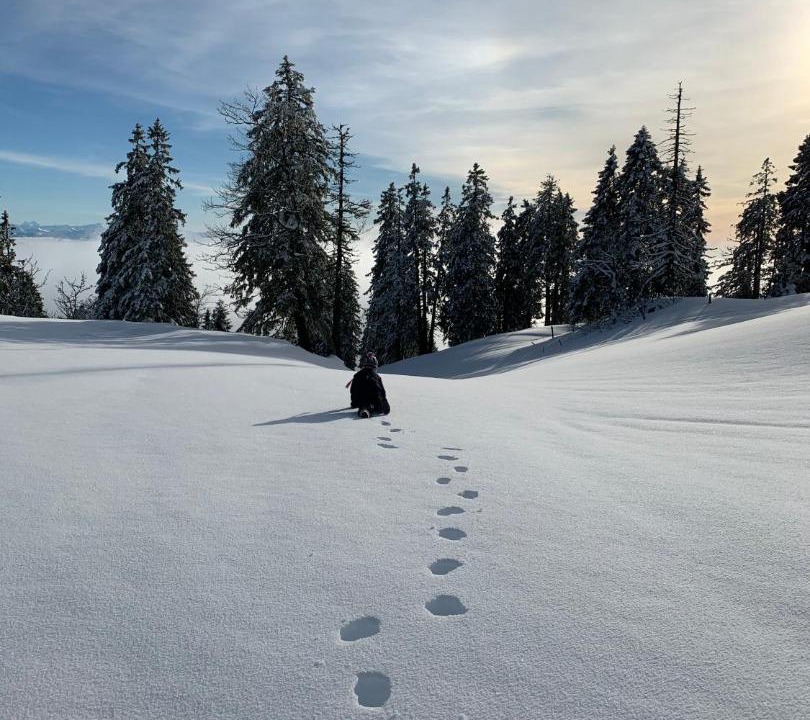 Photo of Others in Nods