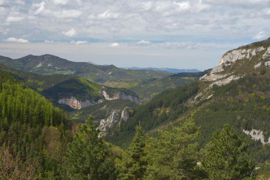 Photo of Outdoor in Glandage