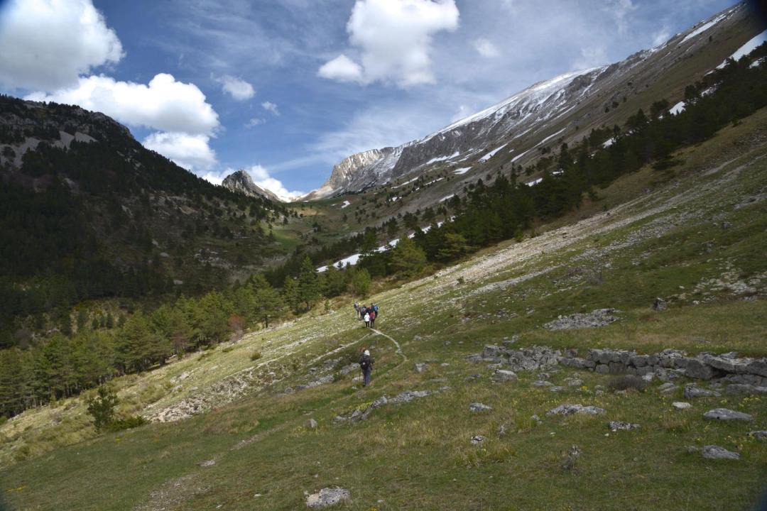 Photo of Others in Glandage