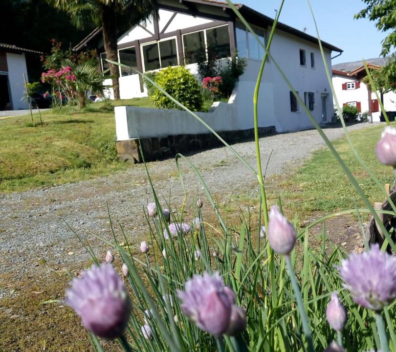 Photo of Others in Osses