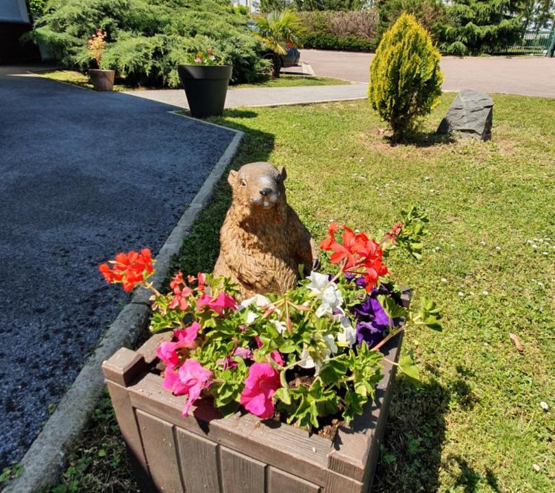 Photo of Others in Marolles