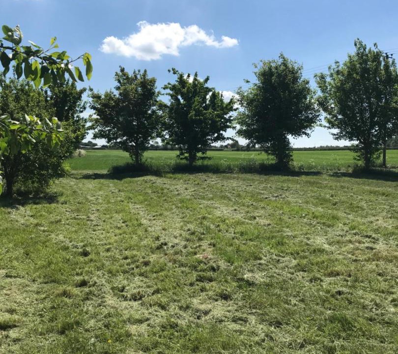 Photo of Others in Southwell