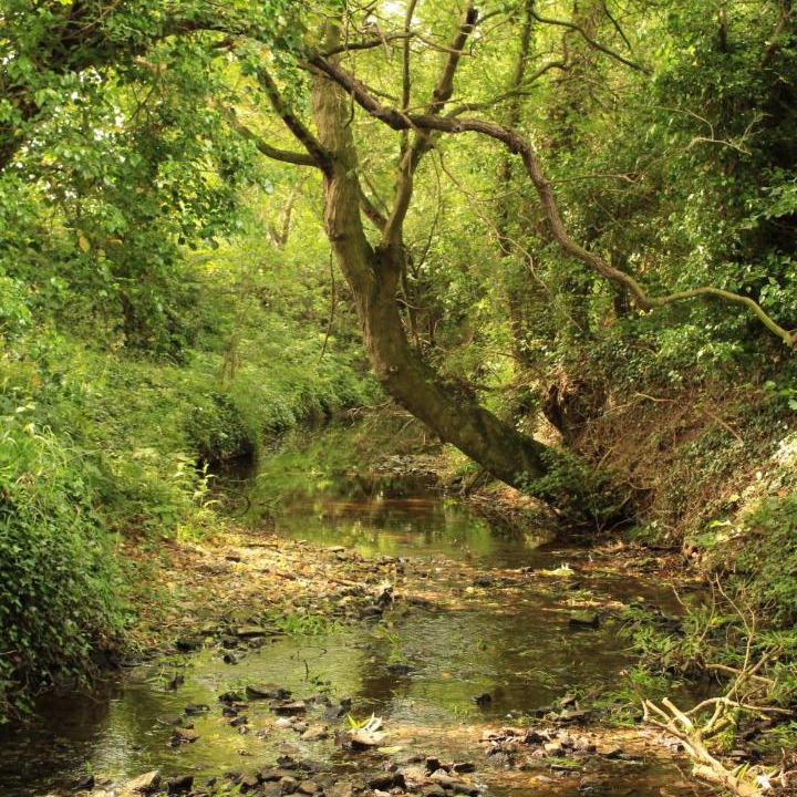 Photo of Others in Southwell