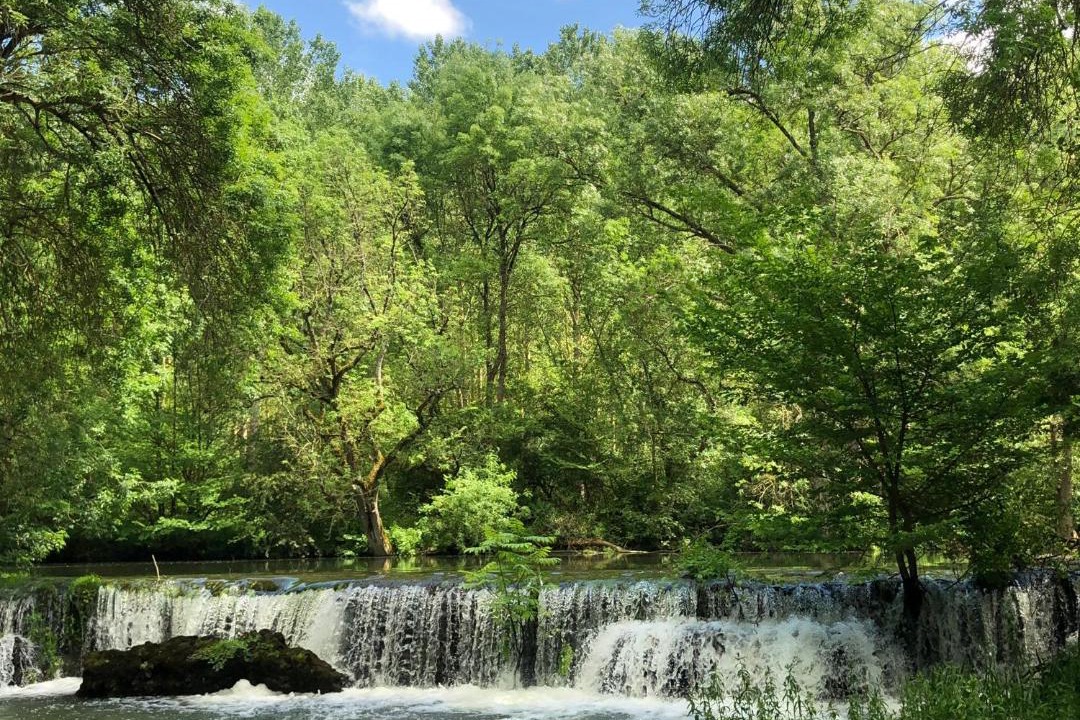 Photo of Others in Sache