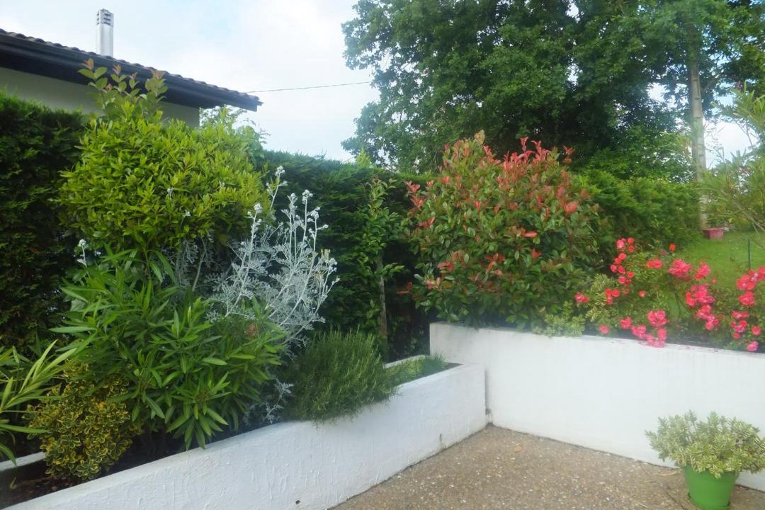 Photo of Others in Orthez