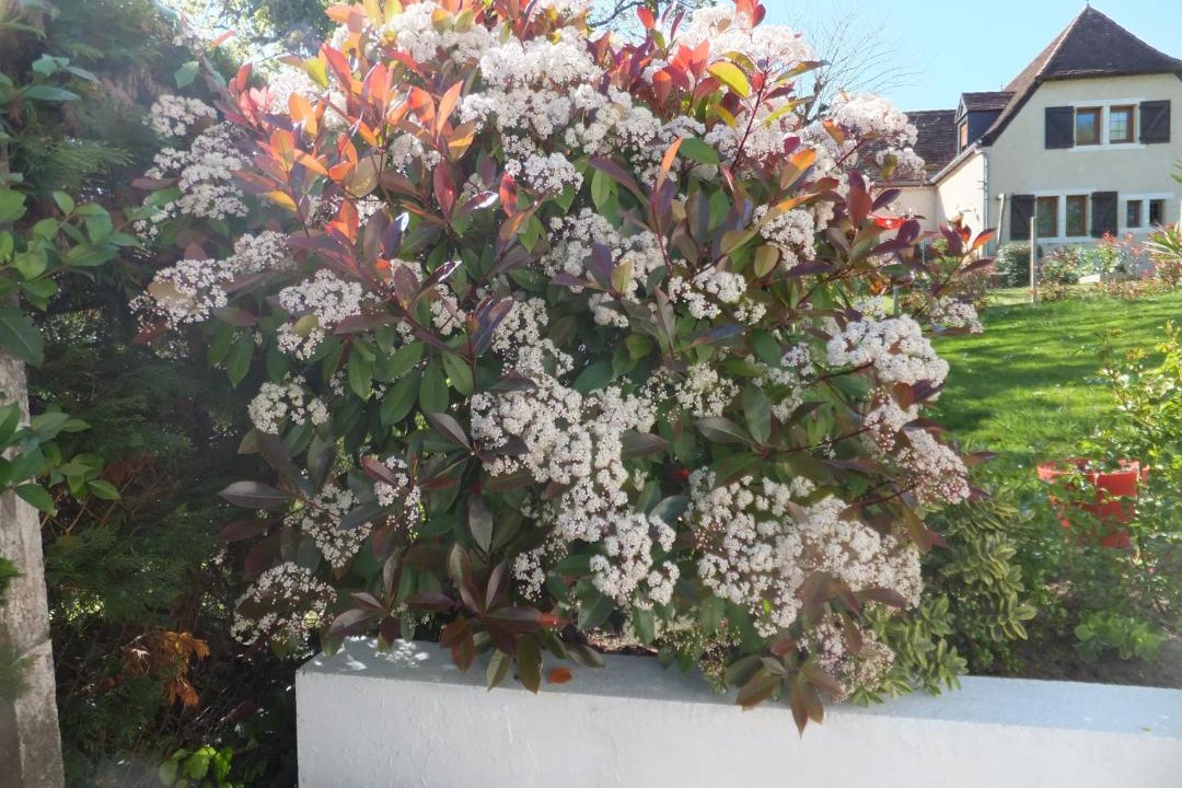 Photo of Others in Orthez