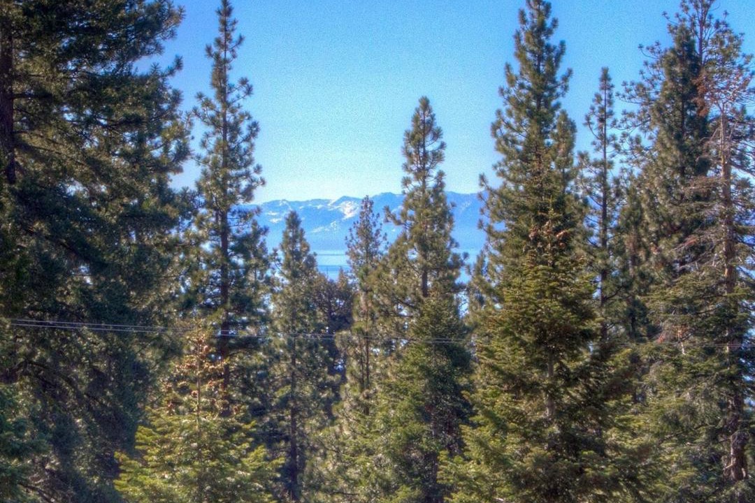 Photo of Outdoor in Kings Beach
