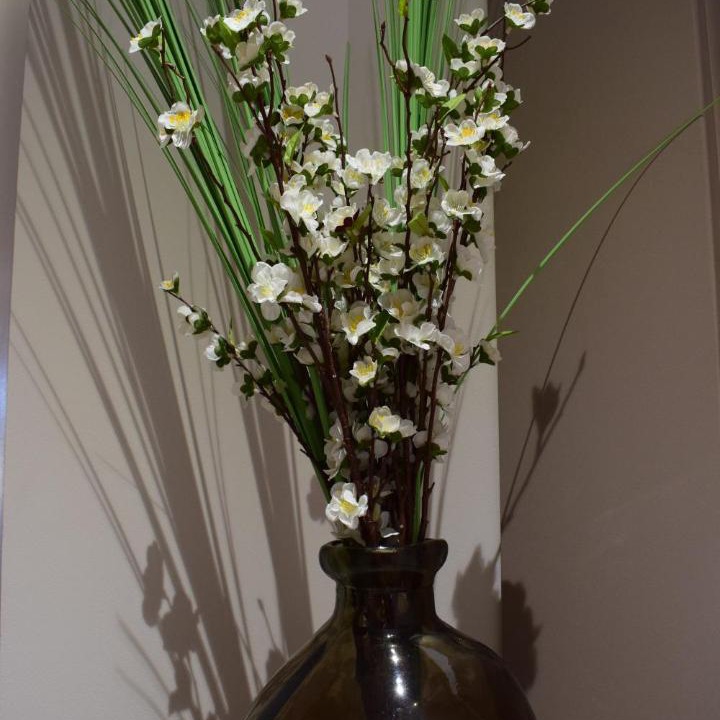 Photo of Others in Marcillac-Saint-Quentin