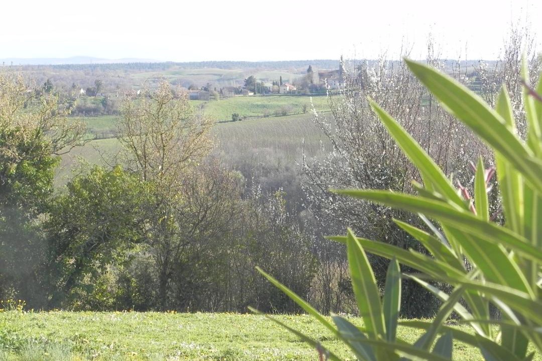 Photo of Others in Saint-Frajou