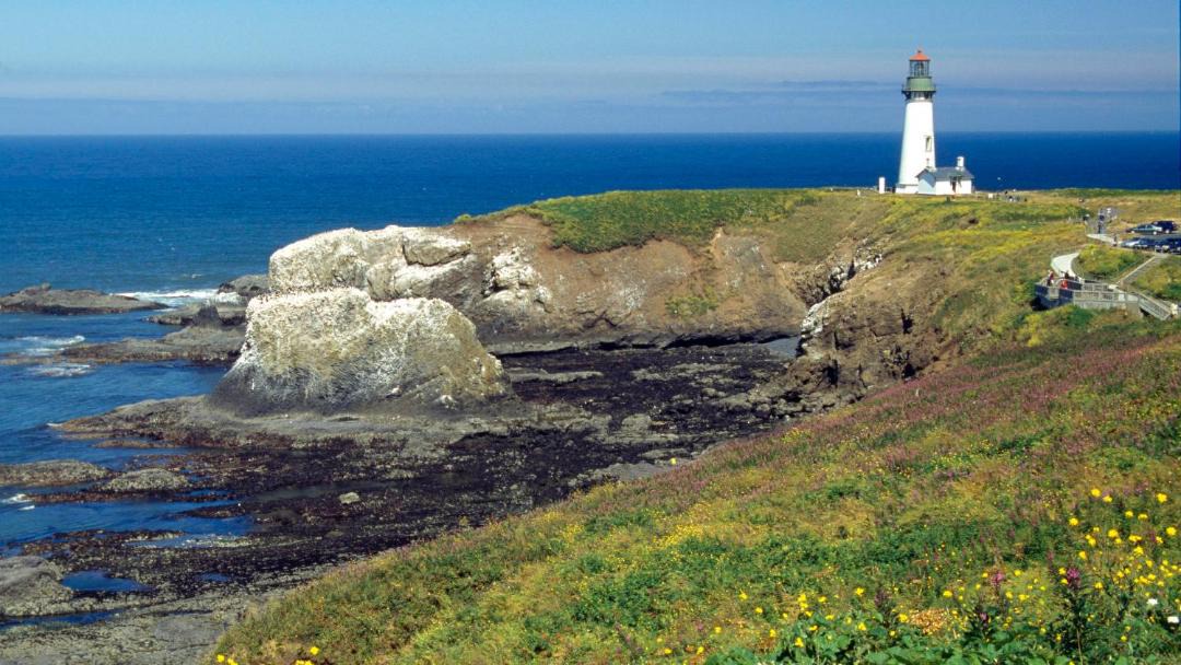 Photo of Others in Agate Beach