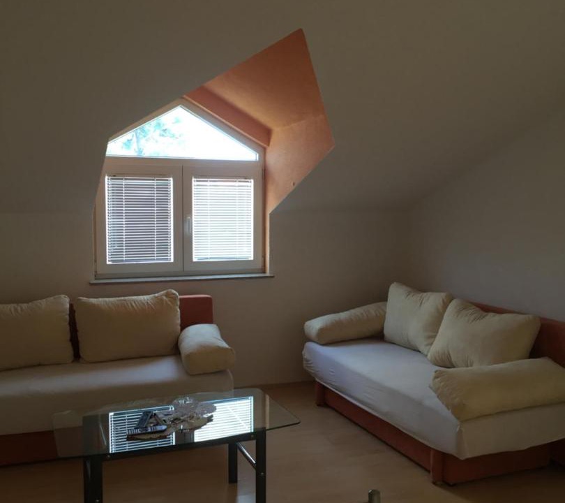 Photo of Livingroom in Susica
