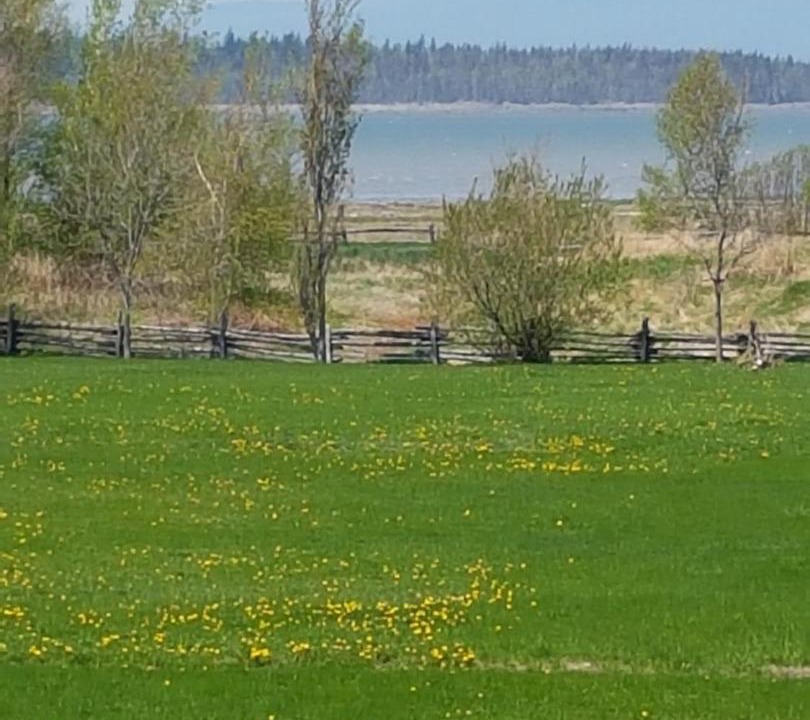 Photo of Others in Kamouraska
