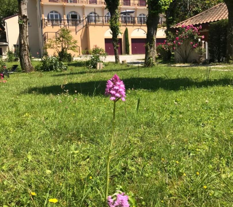 Photo of Others in Saint-Jean-en-Royans