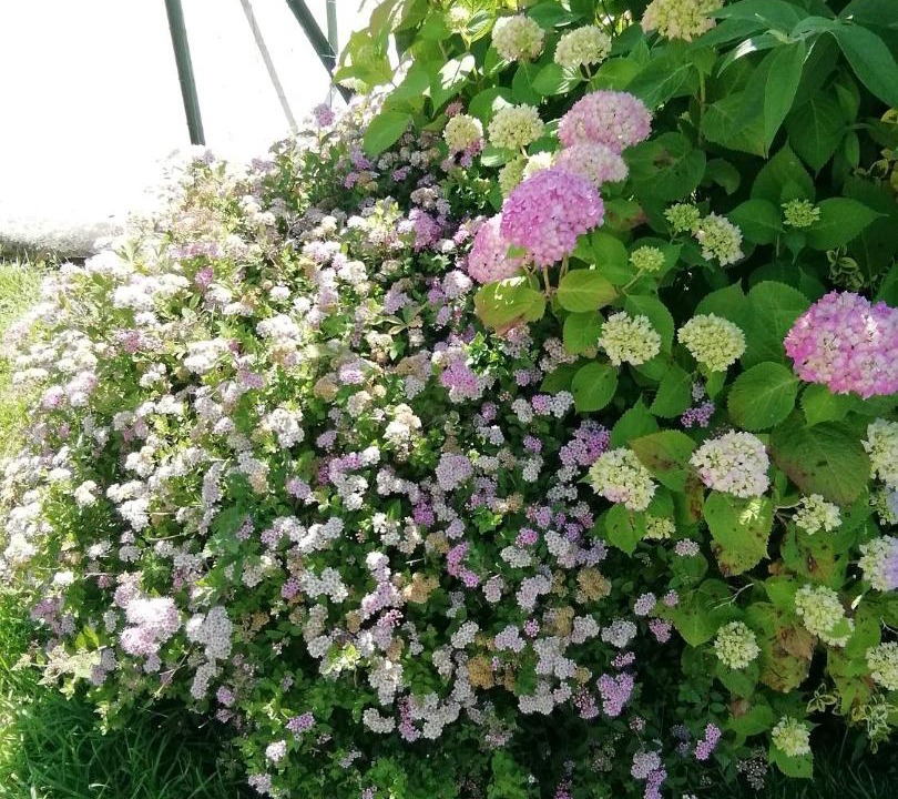 Photo of Others in Cieutat