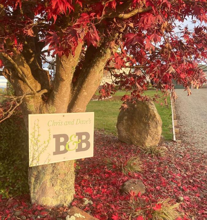 Photo of Others in Otorohanga