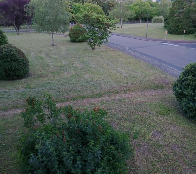 Photo of Others in Montrichard