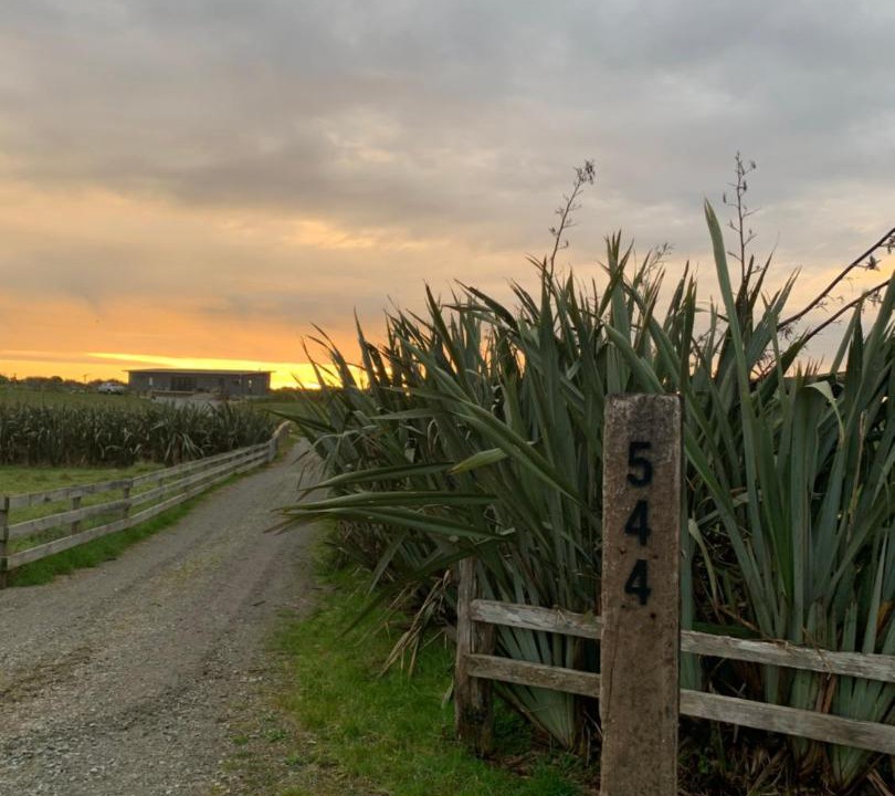 Photo of Others in Hokitika