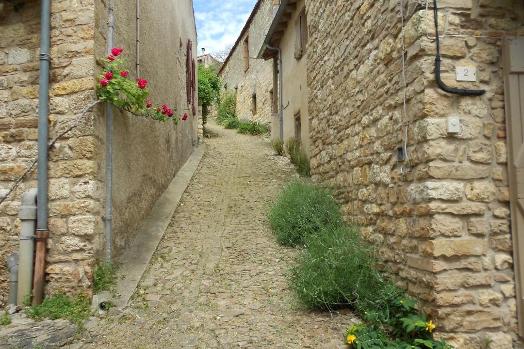 Photo of Others in Cordes-sur-Ciel