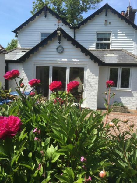 Photo of Others in Wilmington