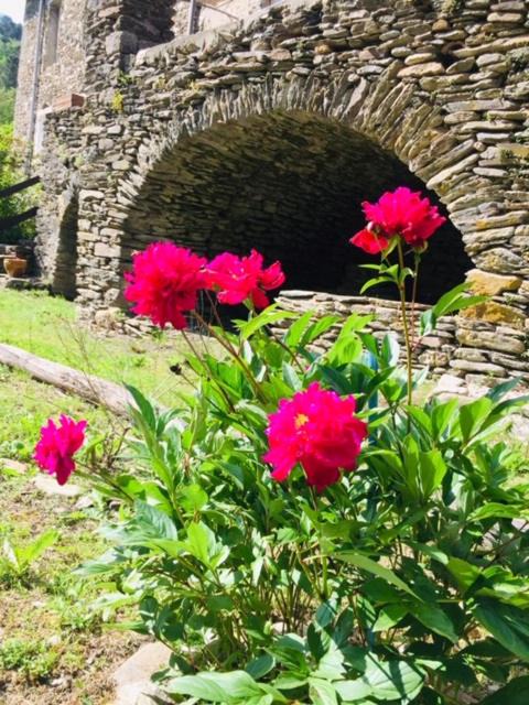 Photo of Others in Saint-Michel-de-Deze