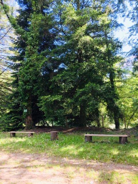 Photo of Outdoor in Saint-Michel-de-Deze