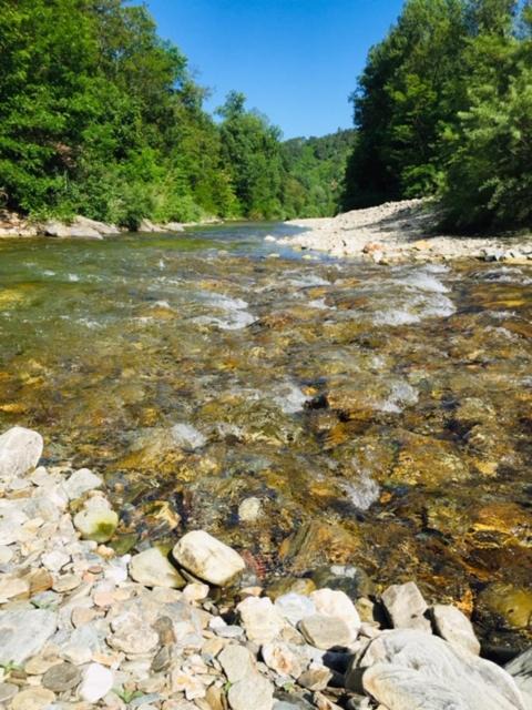 Photo of Others in Saint-Michel-de-Deze