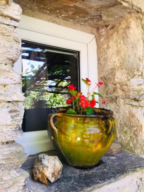 Photo of Others in Saint-Michel-de-Deze