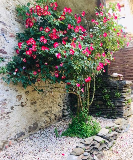 Photo of Others in Saint-Michel-de-Deze