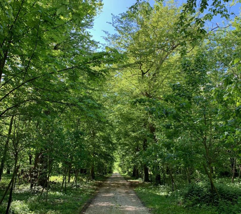 Photo of Others in Montaulin