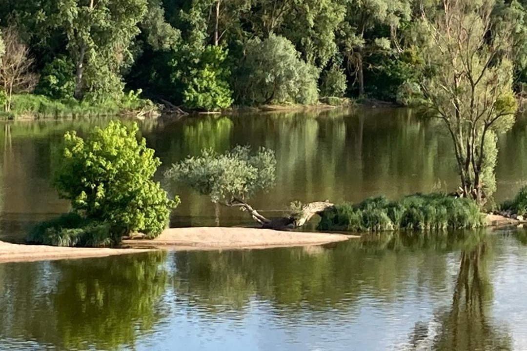 Photo of Others in Meung-sur-Loire