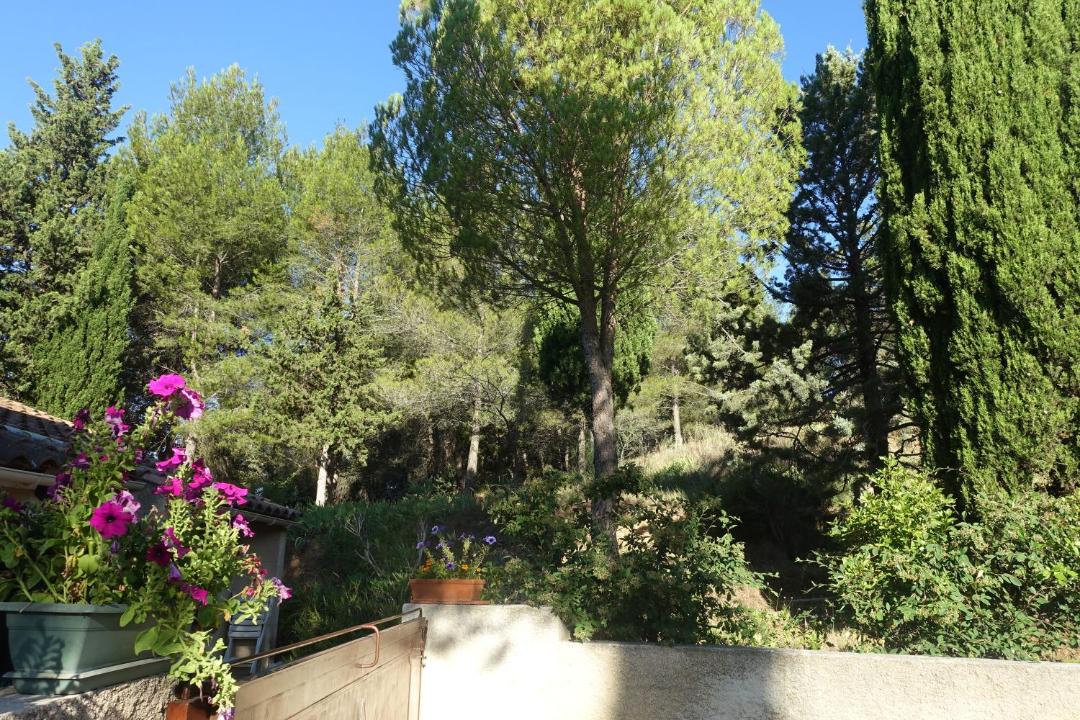 Photo of Others in Lezignan-Corbieres