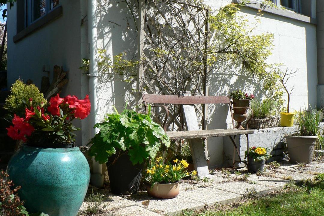 Photo of Others in Mers-les-Bains