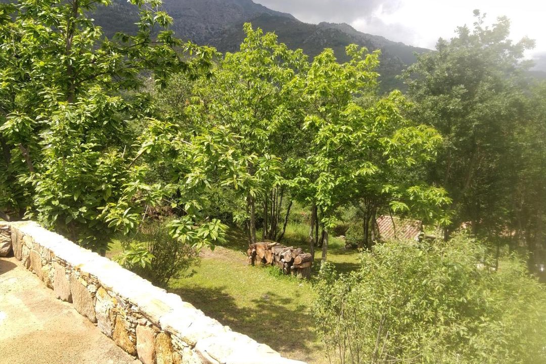 Photo of Others in Riventosa