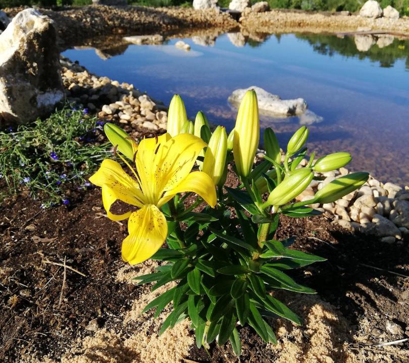Photo of Others in Brantome-en-Perigord