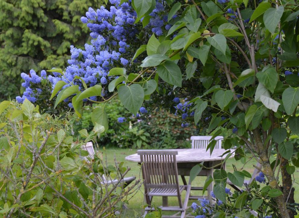 Photo of Others in Hoymille