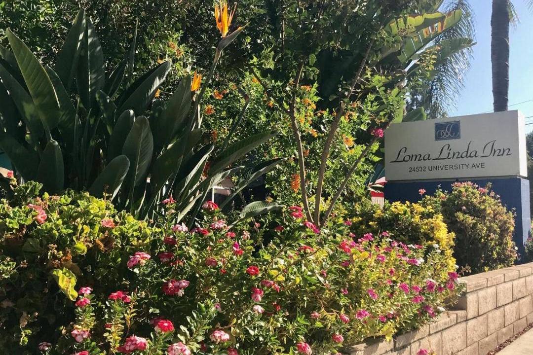 Photo of Others in Loma Linda