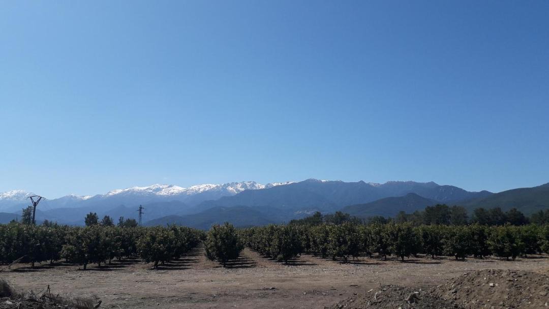 Photo of Others in Ghisonaccia