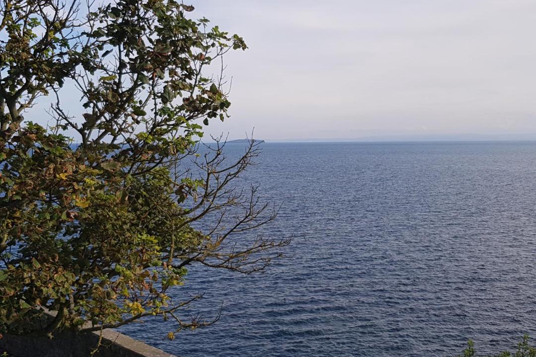 Photo of Others in Crail