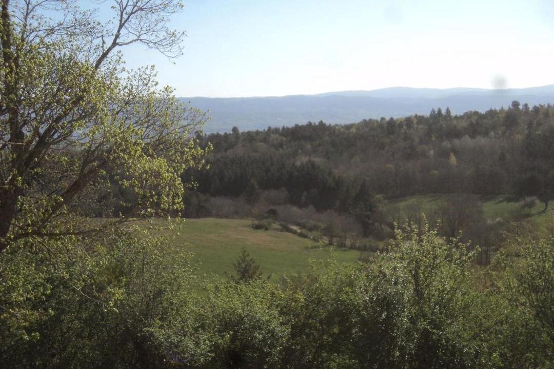 Photo of Others in Brioude Sud Auvergne