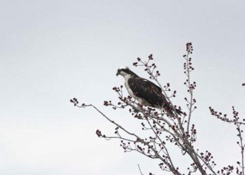 Photo of Others in Saint-Pierre-Baptiste