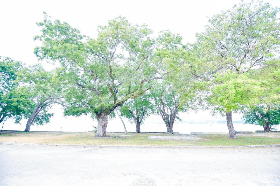 Photo of Others in Lumut